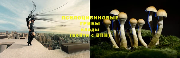 индика Магас