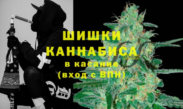 индика Магас