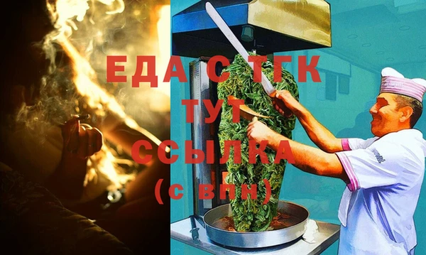 индика Магас