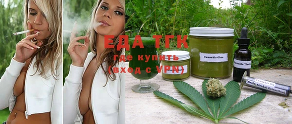 индика Магас