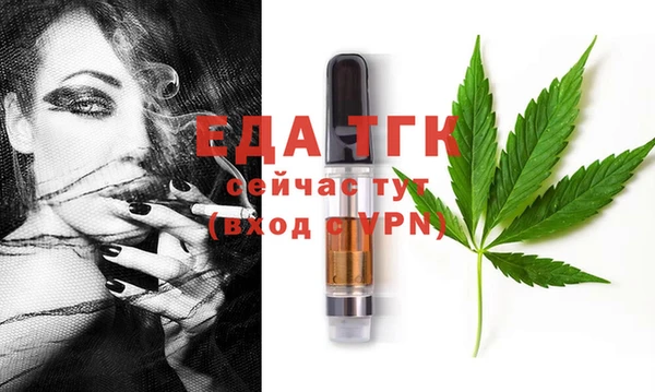 индика Магас