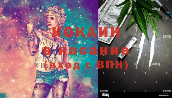 индика Магас
