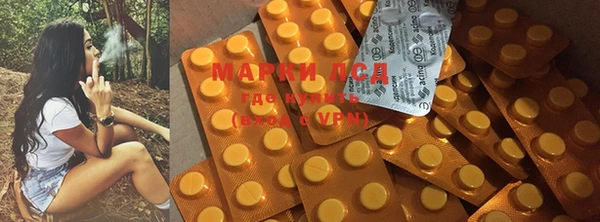 индика Магас