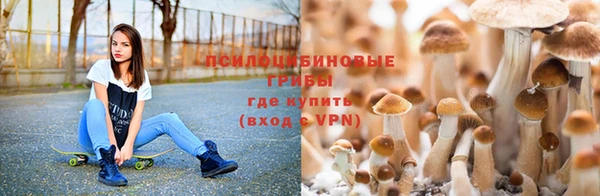 индика Магас