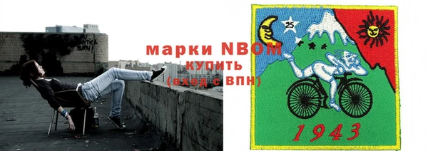 индика Магас
