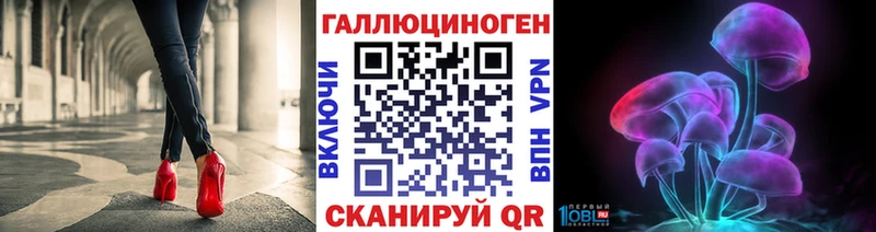 Псилоцибиновые грибы Psilocybe Ессентукская